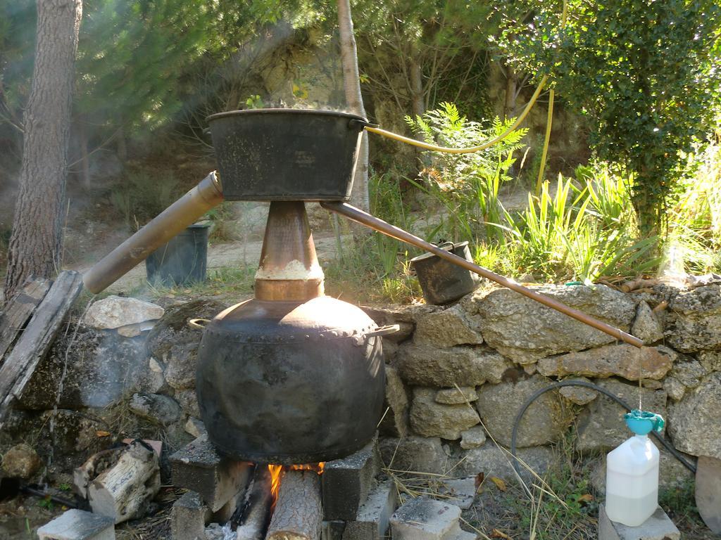 Cortes do Meio Quinta Do Circo - Serra Da Estrela - Turismo Rural מראה חיצוני תמונה