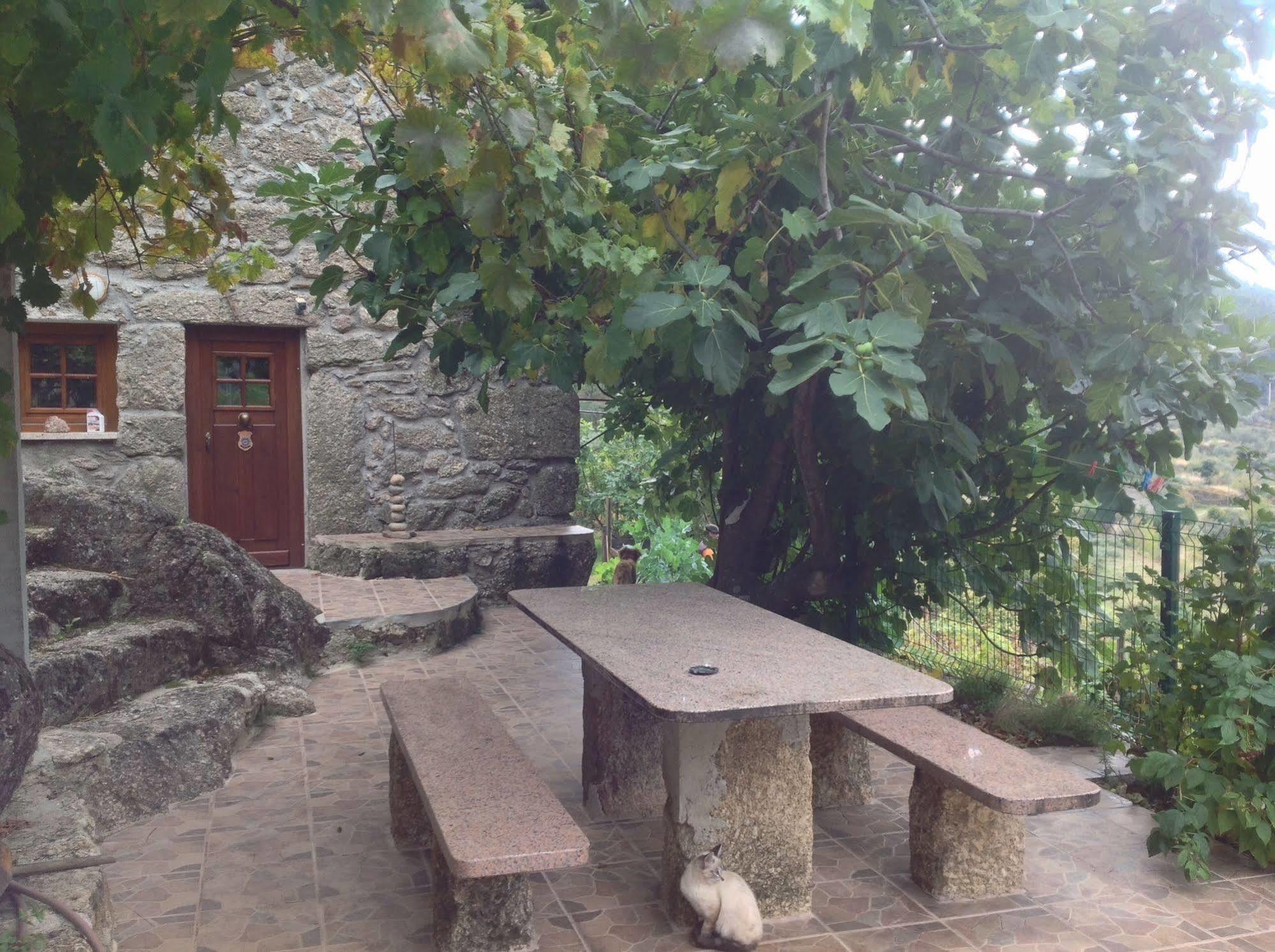 Cortes do Meio Quinta Do Circo - Serra Da Estrela - Turismo Rural מראה חיצוני תמונה